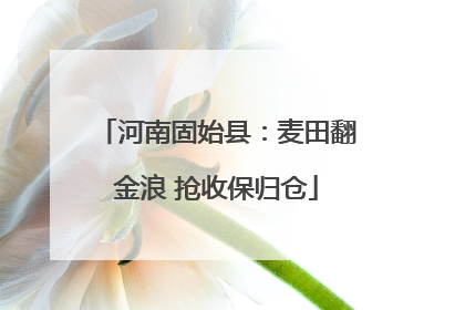 河南固始县：麦田翻金浪 抢收保归仓