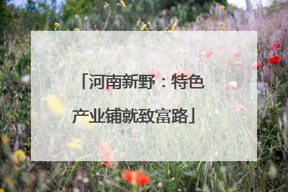河南新野：特色产业铺就致富路