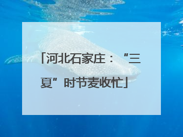 河北石家庄：“三夏”时节麦收忙
