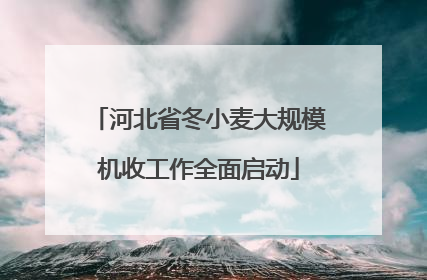 河北省冬小麦大规模机收工作全面启动