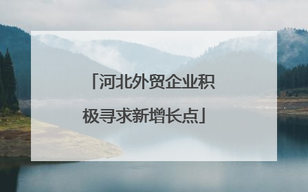河北外贸企业积极寻求新增长点