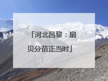 河北昌黎：扇贝分苗正当时