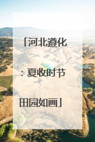 河北遵化：夏收时节田园如画