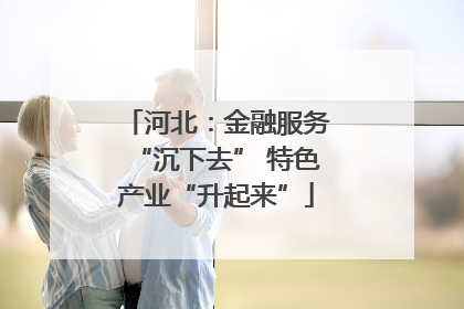 河北：金融服务“沉下去” 特色产业“升起来”