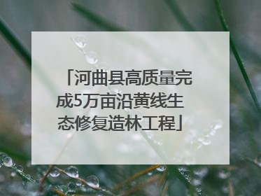 河曲县高质量完成5万亩沿黄线生态修复造林工程