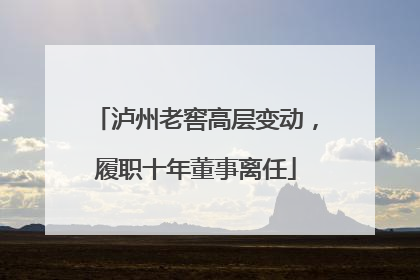 泸州老窖高层变动，履职十年董事离任