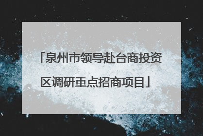 泉州市领导赴台商投资区调研重点招商项目