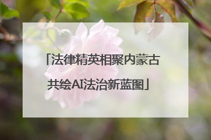法律精英相聚内蒙古 共绘AI法治新蓝图