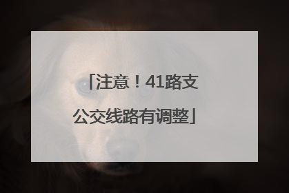 注意！41路支公交线路有调整