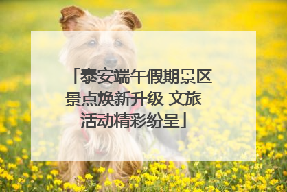 泰安端午假期景区景点焕新升级 文旅活动精彩纷呈