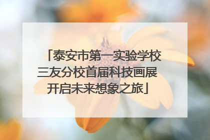 泰安市第一实验学校三友分校首届科技画展开启未来想象之旅