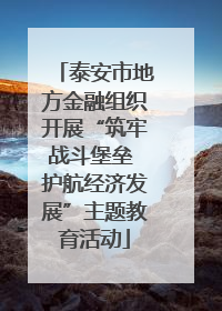 泰安市地方金融组织开展“筑牢战斗堡垒 护航经济发展”主题教育活动