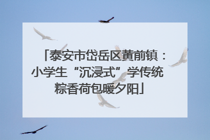泰安市岱岳区黄前镇：小学生“沉浸式”学传统 粽香荷包暖夕阳