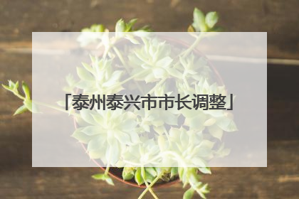 泰州泰兴市市长调整