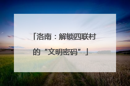 洛南：解锁四联村的“文明密码”