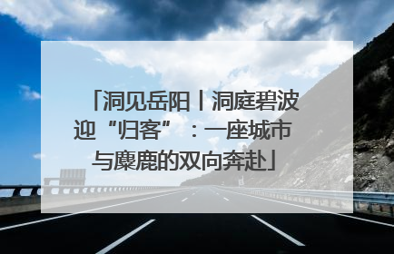 洞见岳阳丨洞庭碧波迎“归客”：一座城市与麋鹿的双向奔赴