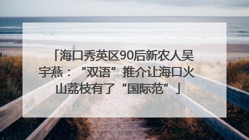 海口秀英区90后新农人吴宇燕：“双语”推介让海口火山荔枝有了“国际范”