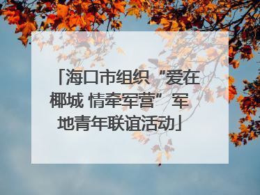 海口市组织“爱在椰城 情牵军营”军地青年联谊活动