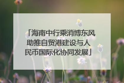 海南中行乘消博东风 助推自贸港建设与人民币国际化协同发展