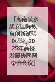 海南陵水黎安国际教育创新试验区举行2025年高校发展协同圆桌会会议