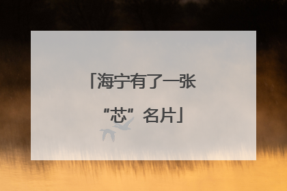 海宁有了一张“芯”名片