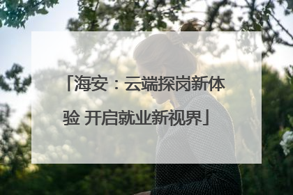 海安：云端探岗新体验 开启就业新视界