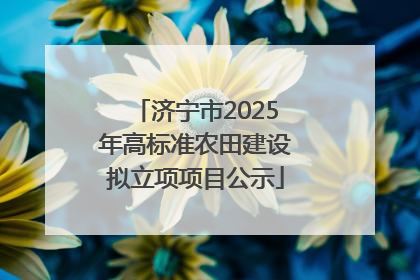 济宁市2025年高标准农田建设拟立项项目公示
