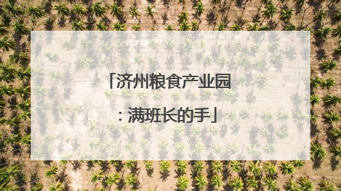 济州粮食产业园：满班长的手