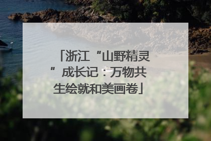 浙江“山野精灵”成长记：万物共生绘就和美画卷