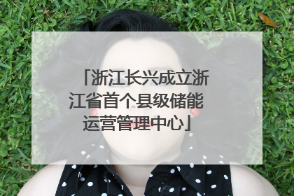 浙江长兴成立浙江省首个县级储能运营管理中心