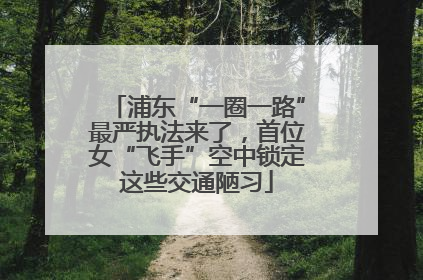 浦东“一圈一路”最严执法来了，首位女“飞手”空中锁定这些交通陋习