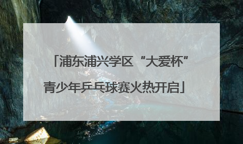 浦东浦兴学区“大爱杯”青少年乒乓球赛火热开启