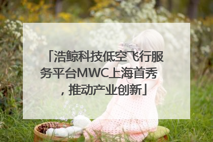 浩鲸科技低空飞行服务平台MWC上海首秀，推动产业创新