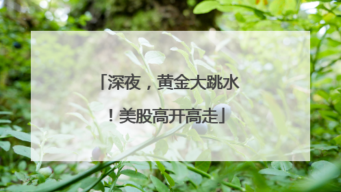 深夜，黄金大跳水！美股高开高走