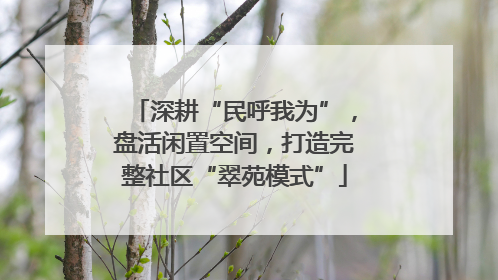 深耕“民呼我为”，盘活闲置空间，打造完整社区“翠苑模式”