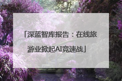 深蓝智库报告：在线旅游业掀起AI竞速战