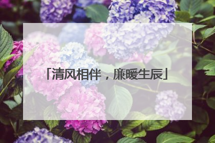 清风相伴，廉暖生辰