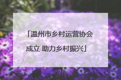 温州市乡村运营协会成立 助力乡村振兴