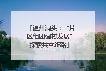 温州洞头：“片区组团强村发展”探索共富新路