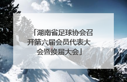 湖南省足球协会召开第六届会员代表大会暨换届大会