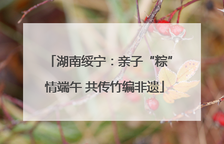 湖南绥宁：亲子“粽”情端午 共传竹编非遗