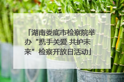 湖南娄底市检察院举办“携手关爱 共护未来”检察开放日活动