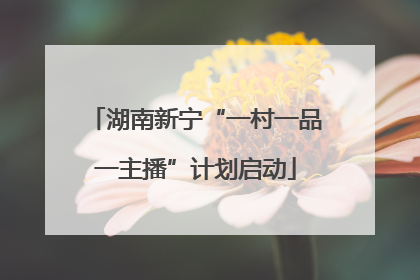 湖南新宁“一村一品一主播”计划启动