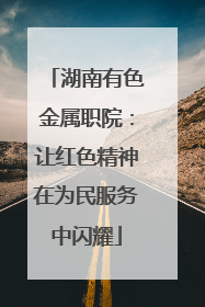 湖南有色金属职院：让红色精神在为民服务中闪耀