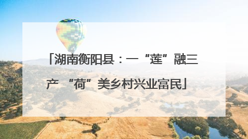 湖南衡阳县：一“莲”融三产 “荷”美乡村兴业富民