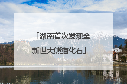 湖南首次发现全新世大熊猫化石