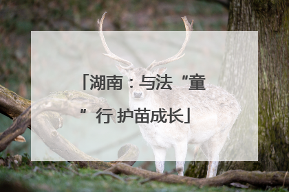 湖南：与法“童”行 护苗成长