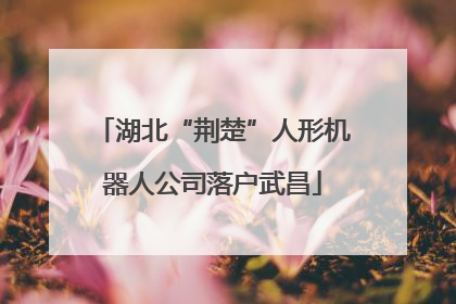 湖北“荆楚”人形机器人公司落户武昌