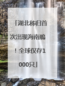 湖北秭归首次出现海南鳽！全球仅存1000只