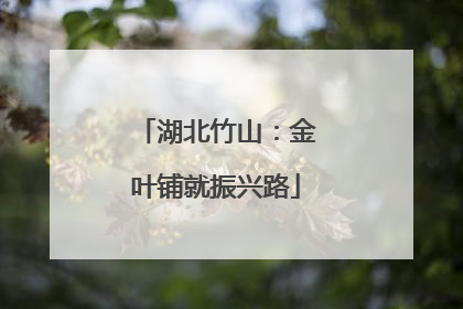 湖北竹山：金叶铺就振兴路